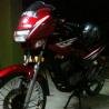 alippis25