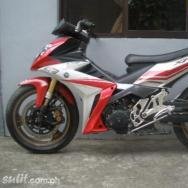 cicak2894