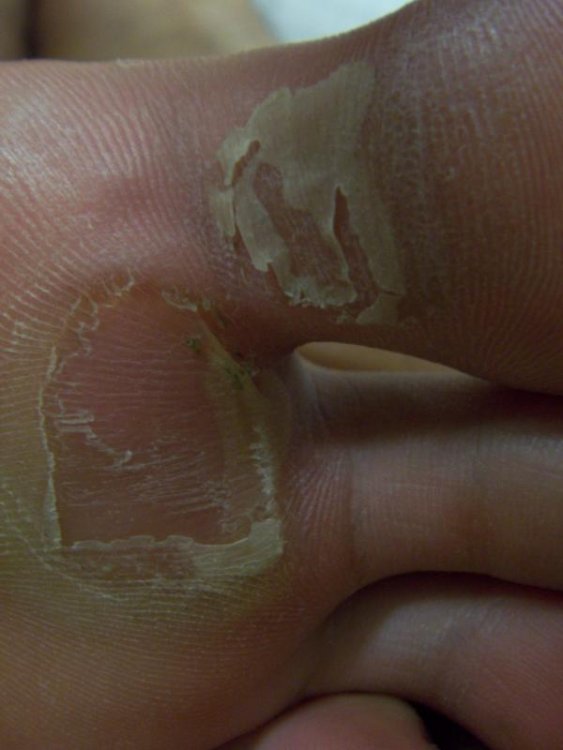 100_0051.jpg