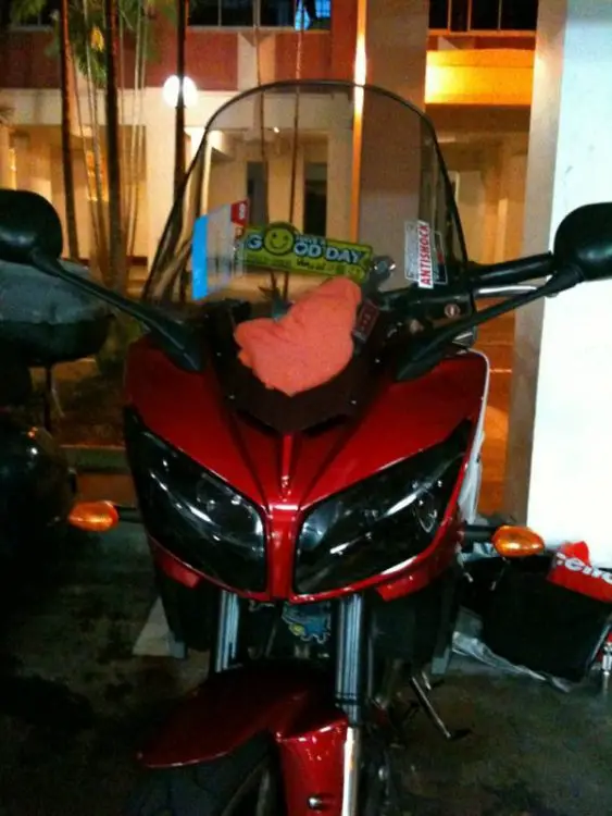 my fazer.jpg