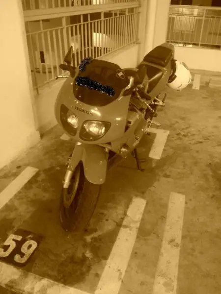 sp 2.jpg