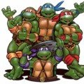 red tortise