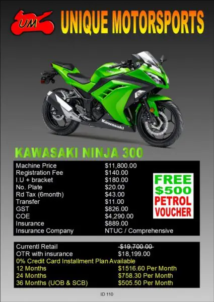 Ninja 300.jpg