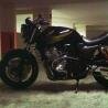 epul1986