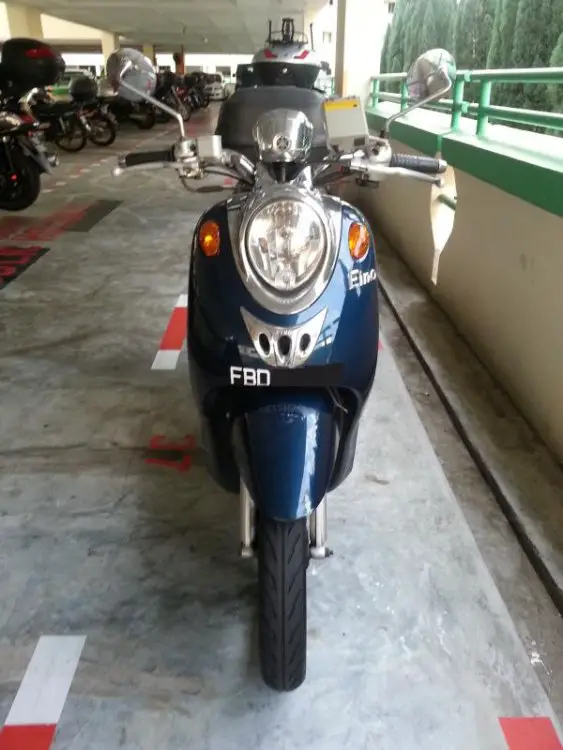 Fino Front.jpg