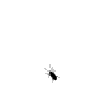 natoshi
