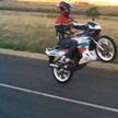 The South African