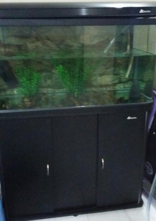 2013-11-17 13.43.23.jpg