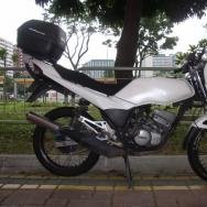 Toro46