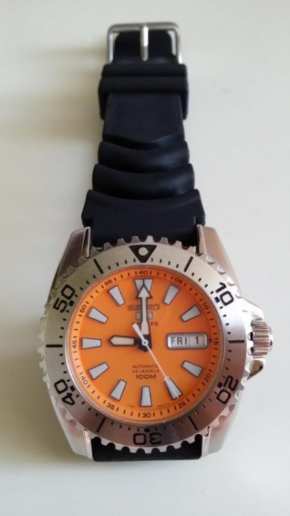 20131101_114637.jpg