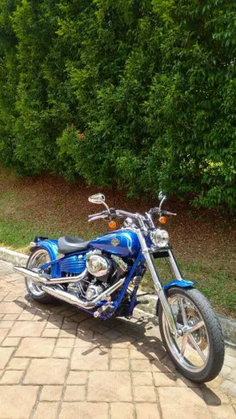 20160316_131953_HDR.jpg