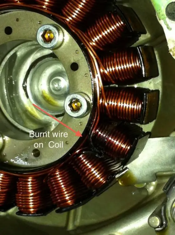 Burnt Magnet Coil.jpg