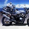 roadster1000