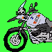 Astute_Rider