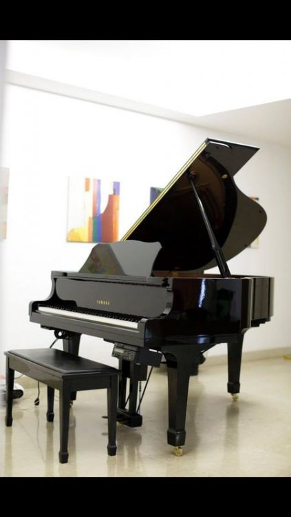 Grand Piano.jpg