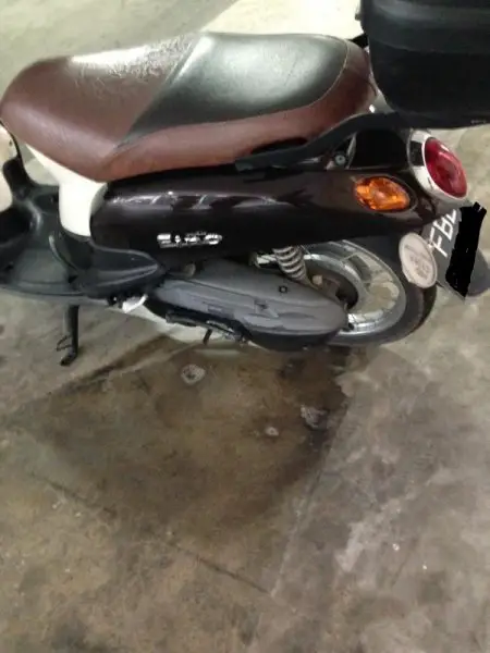 photo 2.jpg
