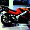 roti_john87