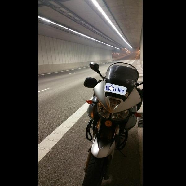 TDM 900 (1).jpg