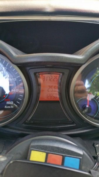 850515853_51445.jpg