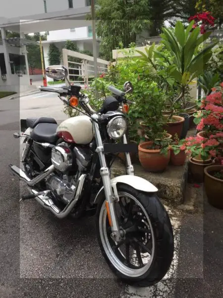 HD XL883 Front.jpg