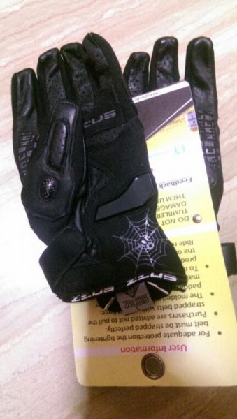 Gloves - 2.jpg