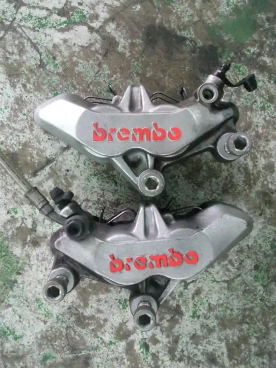 Bermbo.jpg