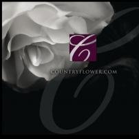 flower22
