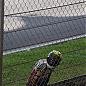 asy_fireblade