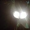 marcus_1407