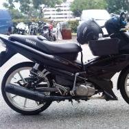 fazlee