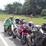 99r6