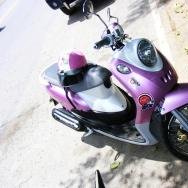 fz0123