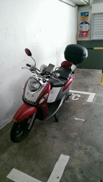 Fino1.jpg