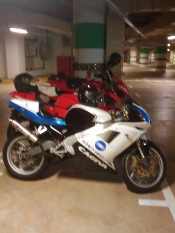 IMAG0110.jpg