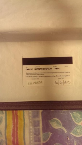 IMAG0131.jpg