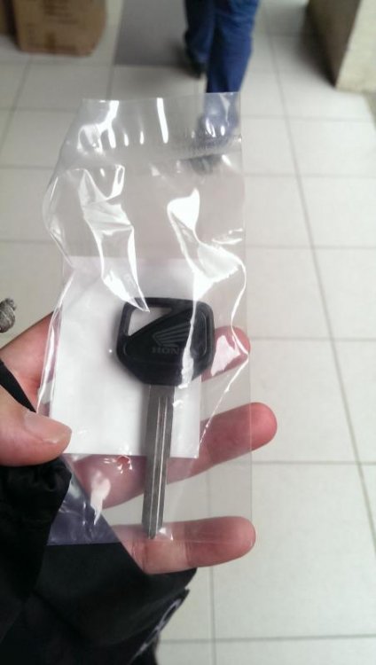 IMAG0367.jpg