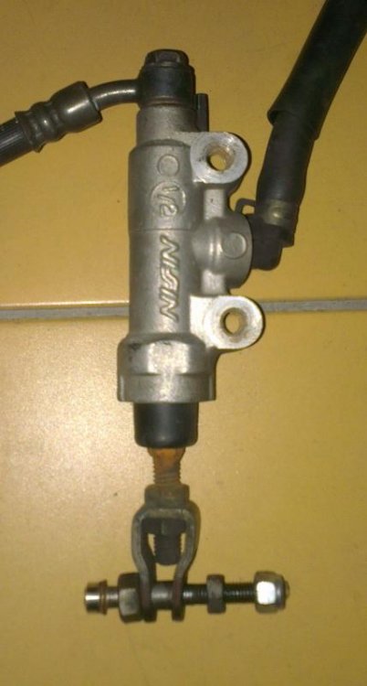 IMAG0475.jpg