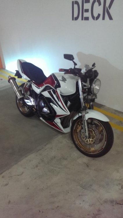 IMAG0679.jpg