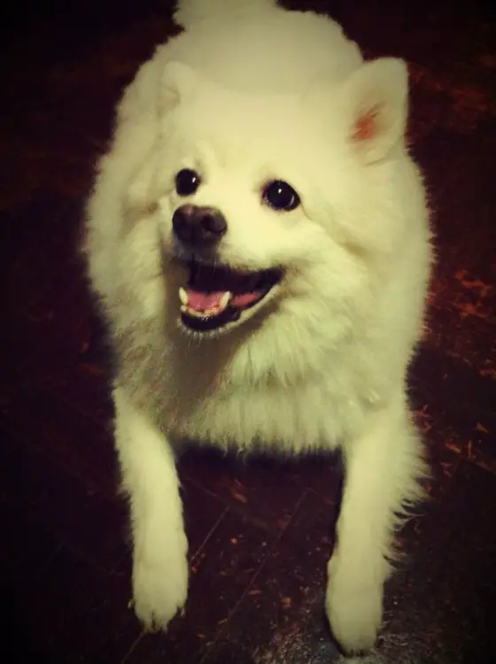 IMG-20120405-WA000.jpg