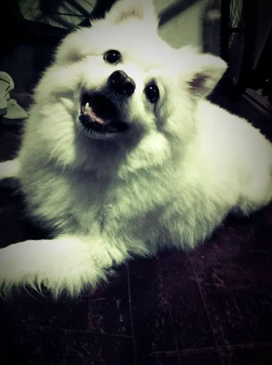 IMG-20120405-WA001.jpg