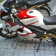 Newbie_KRR