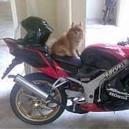 guoliang89