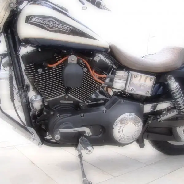 P1011641.jpg