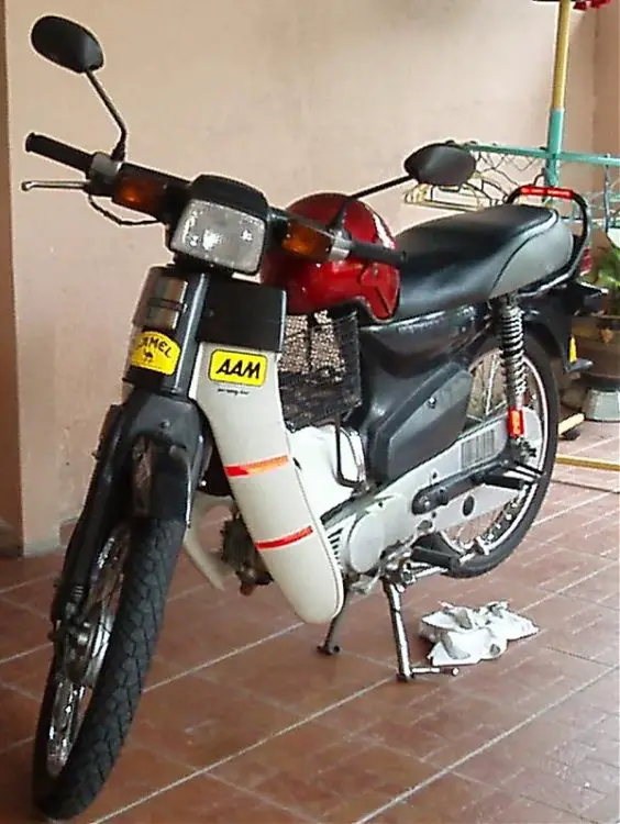 P6030009a.jpg
