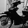 Jamaican Jawa