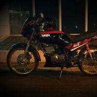 sham7232
