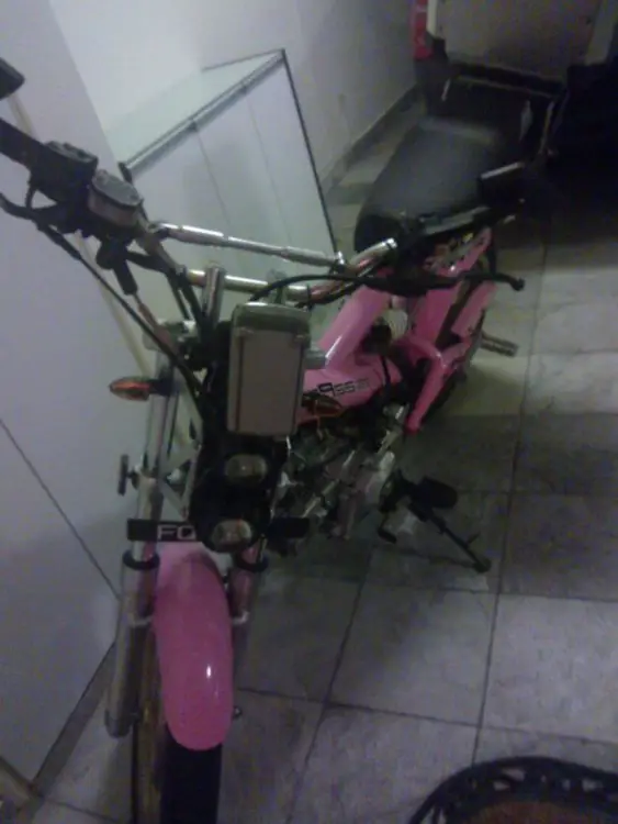 WP_000747.jpg