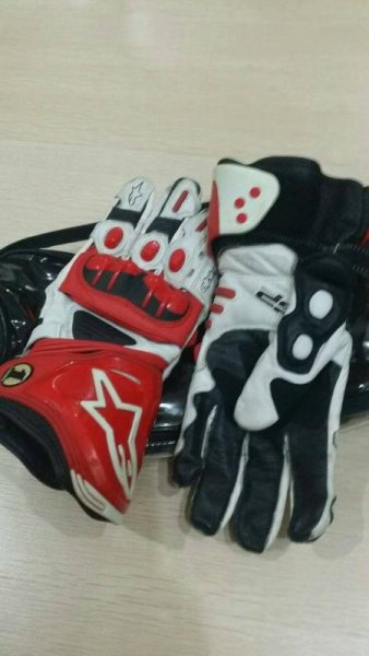 alpinestar1.jpg