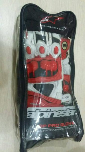 alpinestar2.jpg