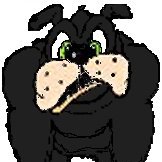 BLACKD0G